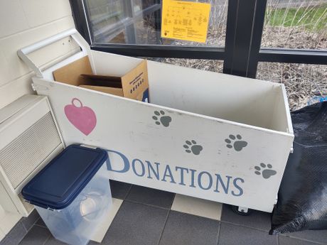 Mačka ostavljena u kutiji za donacije