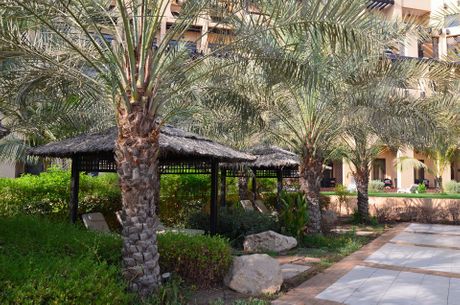 Emirat Ras Al Khaimah, Ujedinjeni Arapski Emirati