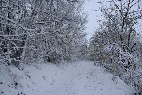 sneg, zapadna Srbija