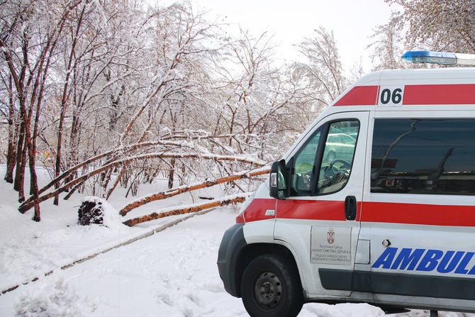 Srušeno drvo, hitna pomoć