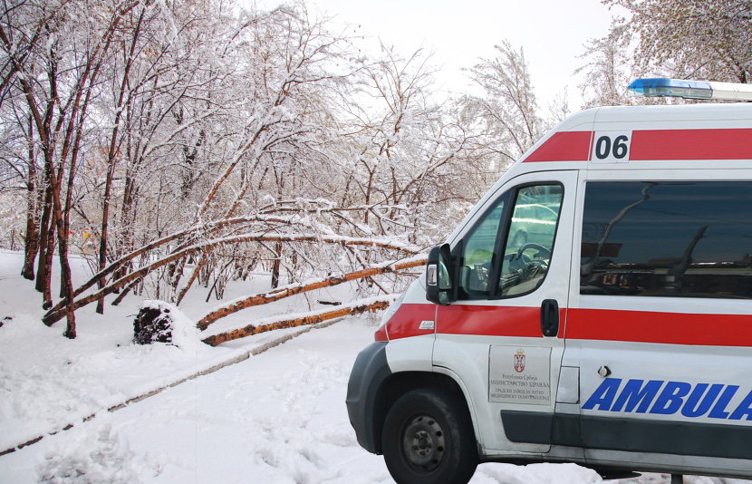 Ogromno drvo palo na pešake u Užicu, povređeni žena i troje dece ...