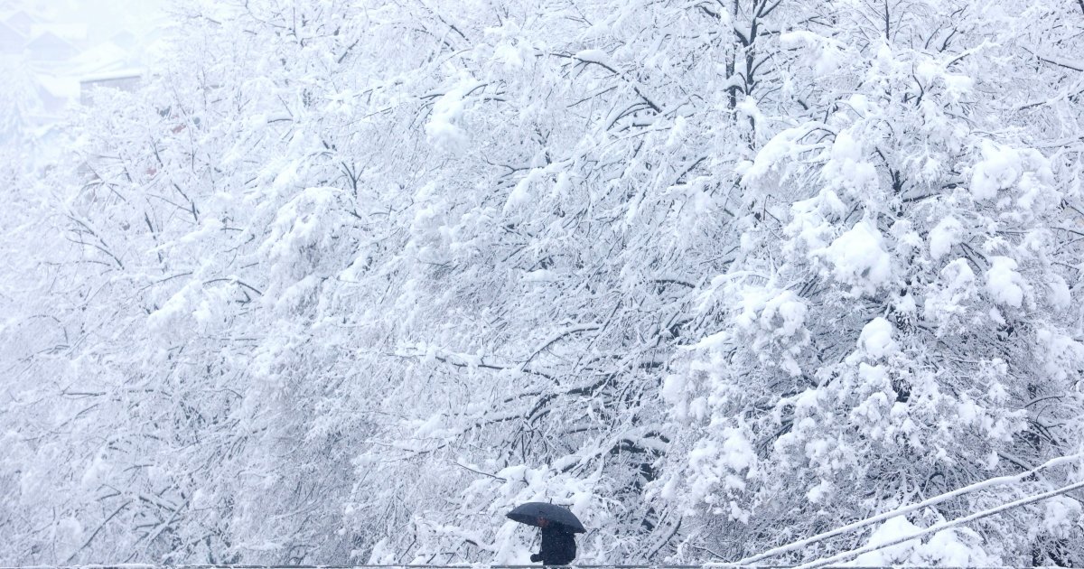 Spring has arrived on the calendar, and in this part of the region, it's snowing as if it were January: An incredible video has been released