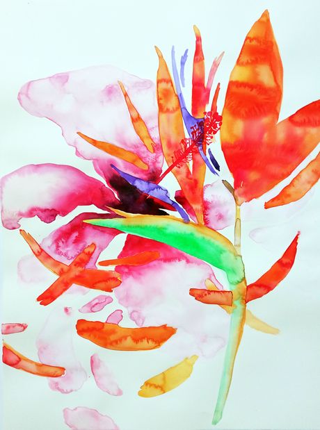 Marija Čolić, izložba akvarela "Ratovi cveća"