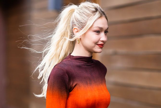 Gigi Hadid, Điđi Gigi Hadid, Điđi
