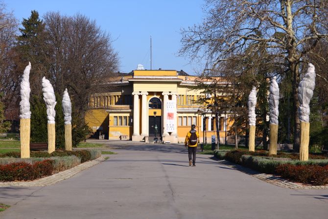 Palma palme Kalemegdan