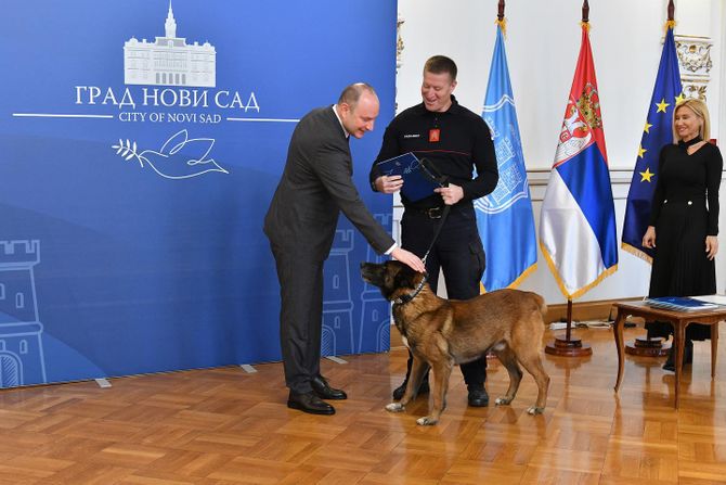 Gradonačelnik Novog Sada Milan Đurić, Policijska uprava  Novi Sad i Vatrogasno spasilačka brigada
