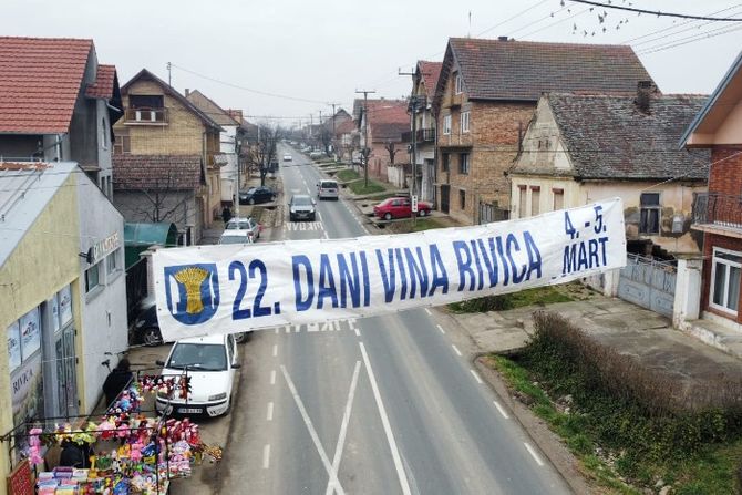 vina, manifestacija, fruka gora, tradicija, srbija,