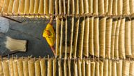 Znate li kako nastaju čuvene azijske nudle? Nestvarne fotografije iz Bangladeša