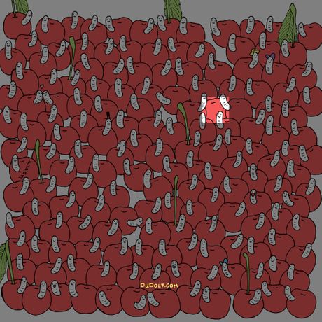 skrivalica, mozgalica, test, opticka iluzija