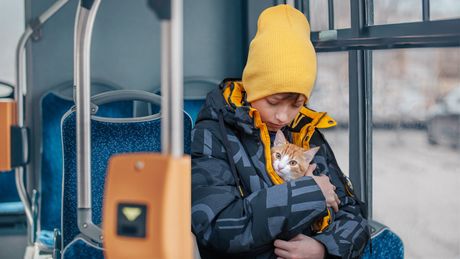 Dečak mačka maca u jakni u autobusu