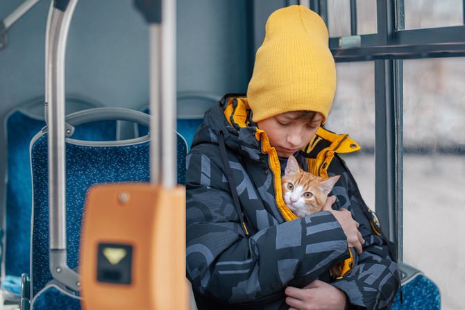 Dečak mačka maca u jakni u autobusu Dečak mačka maca u jakni u autobusu