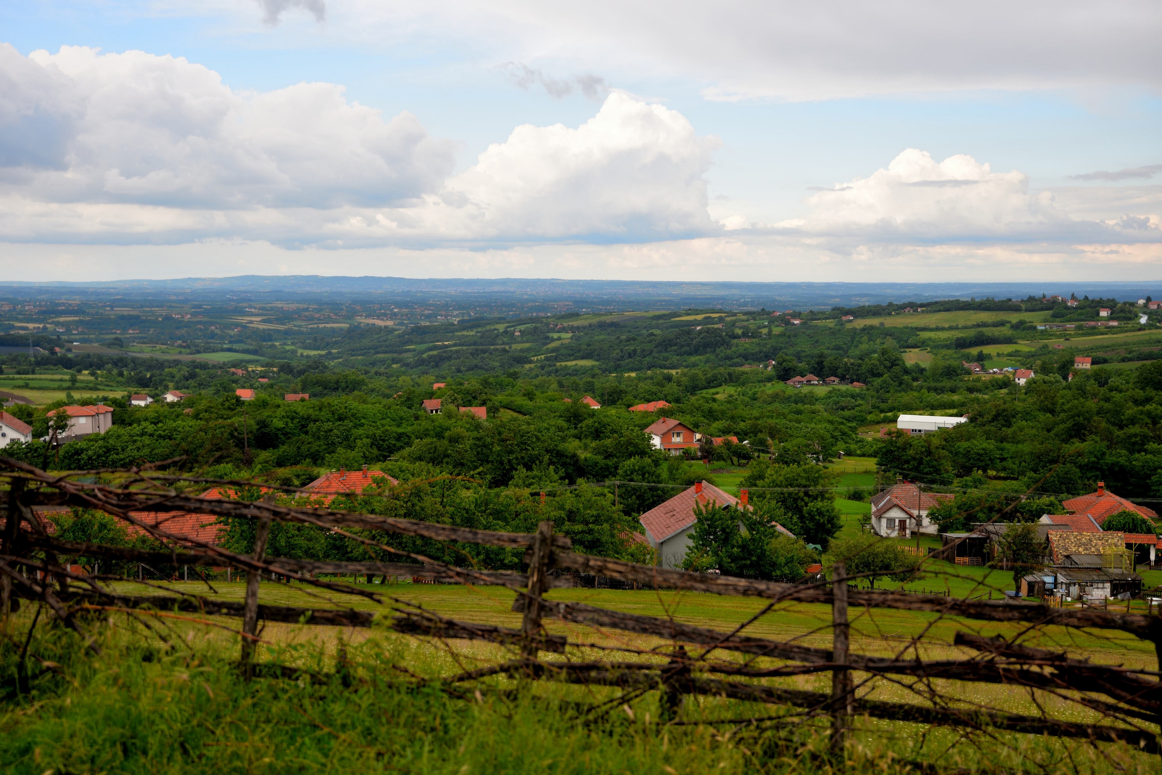 Američki san zamenili Srbijom: Uzelci se vratili na dedovinu, njihova deca danas odrastaju uz korene i veru