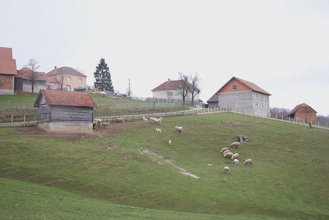 kuća, kuća sa okućnicom, domaćinstvo