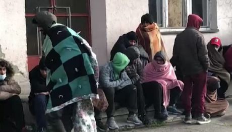 migranti, Loznica