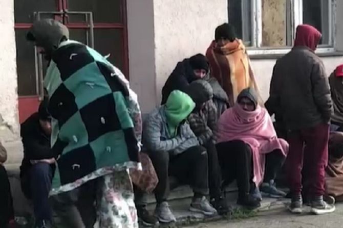 migranti, Loznica