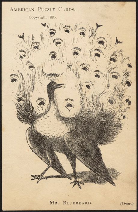 opticka varka, skrivalica, Peacock and Mr Bluebeard opticka varka, skrivalica, Peacock and Mr Bluebeard