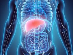 Zdrava, nezdrava hrana, zdravlje