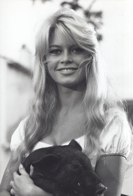 Brigitte Bardot, Brižit Bardo