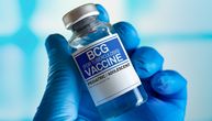 The real truth about the withdrawn BCG vaccines