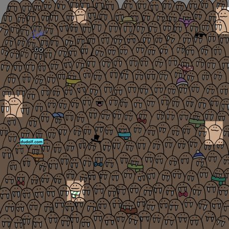 Skrivalica, Optička iluzija, test