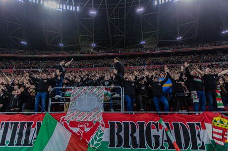 Fudbalska reprezentacija Mađarske, Mađarska, navijači