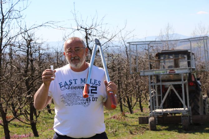 Borko Karadžić, Goračići, viljamovka