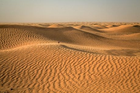Tunis, Sahara, pustinja