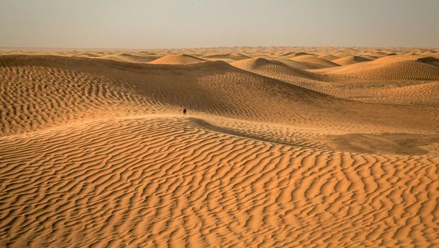 Tunis, Sahara, pustinja