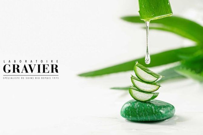 aloeveragravier