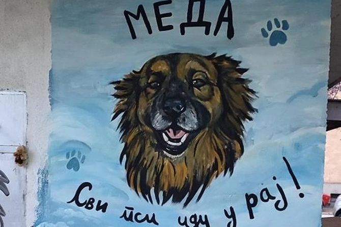 Medin mural u Nišu