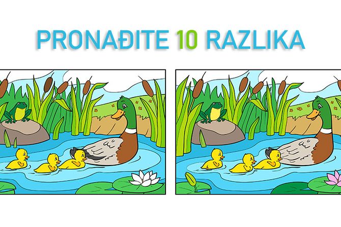 Pronađite 10 razlika patke