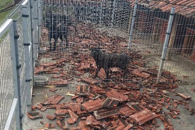 Vetar lomio crepove u selu Zagorica: Jako olujno nevreme pogodilo Topolu