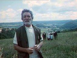 Dobrica Erić