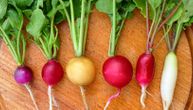 Povrće koje jača vaš imuni sistem: 3 razloga zbog kojih bi trebalo da jedete rotkvice