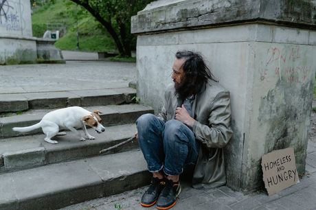 Beskućnik sa psom