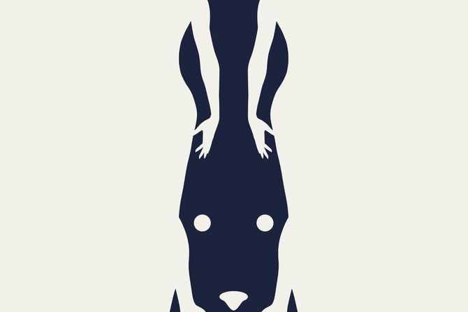 Optička iluzija žene zec Optička iluzija žene zec