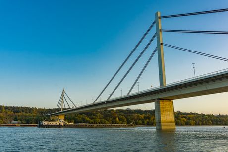 Most slobode, Novi Sad