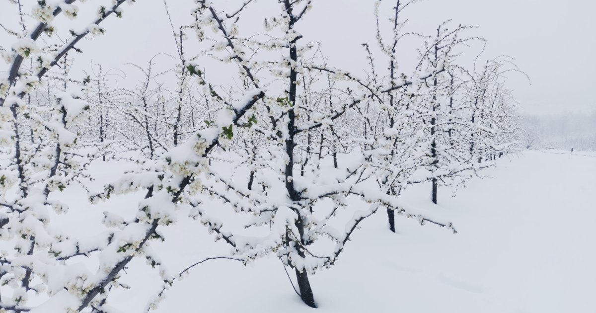 Nestvarne zimske scene iz Kotraže: RHMZ upozorava na kritičnih 36 sati pred nama