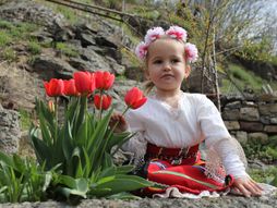 Vrbica, Lazareva subota