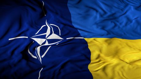 Ukrajina NATO