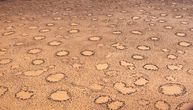 Rešena misterija "vilinskih krugova" u australijskim pustinjama: Konačno se setili da pitaju Aboridžine