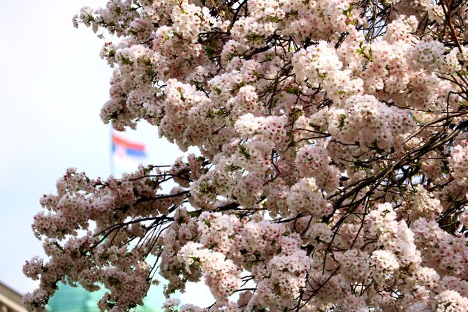 Proleće lepo vreme Proleće lepo vreme