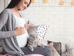 trudnica, ljubimac, mačka