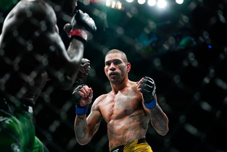 aleks pereira aleks pereira