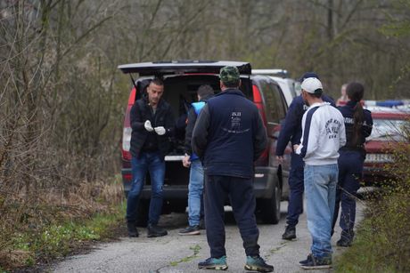 Ubistvo, Zuti breg, Ripanj