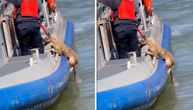 Policija spasavala psa iz reke, kad su izvukli životinju, shvatili su da to nije kuče