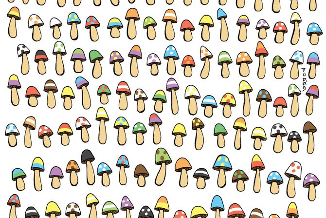 Optička iluzija Optička iluzija