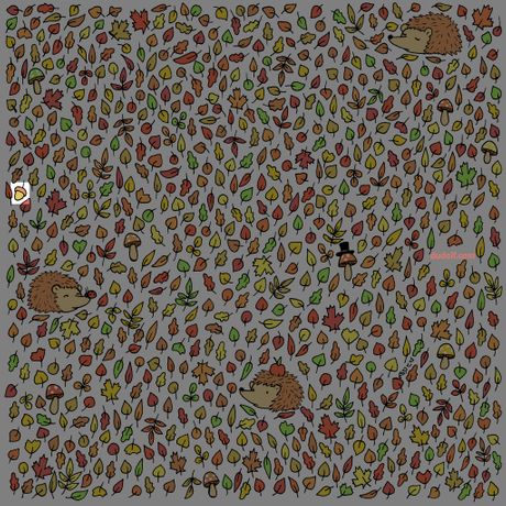 Skrivalica, lišće, žir