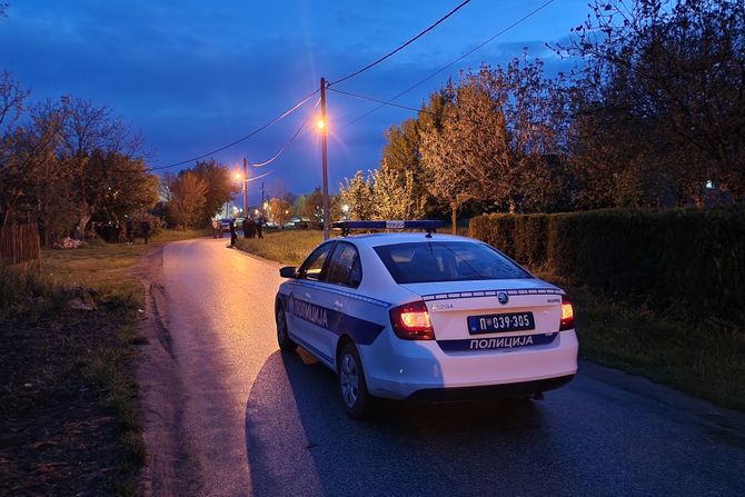 Novi Sad policija, Veternik