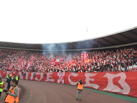 Navijači Zvezde Navijači Zvezde